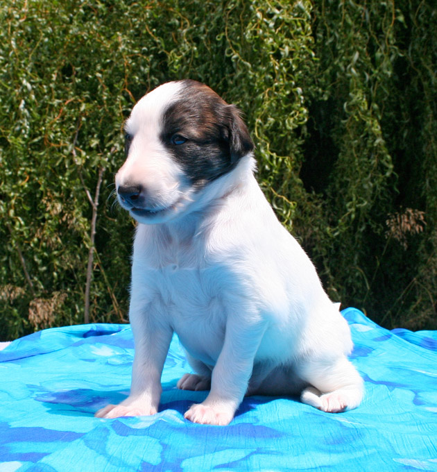 Surf Spots Boy 1 - Sit Cute
